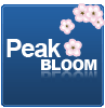 Peak Bloom